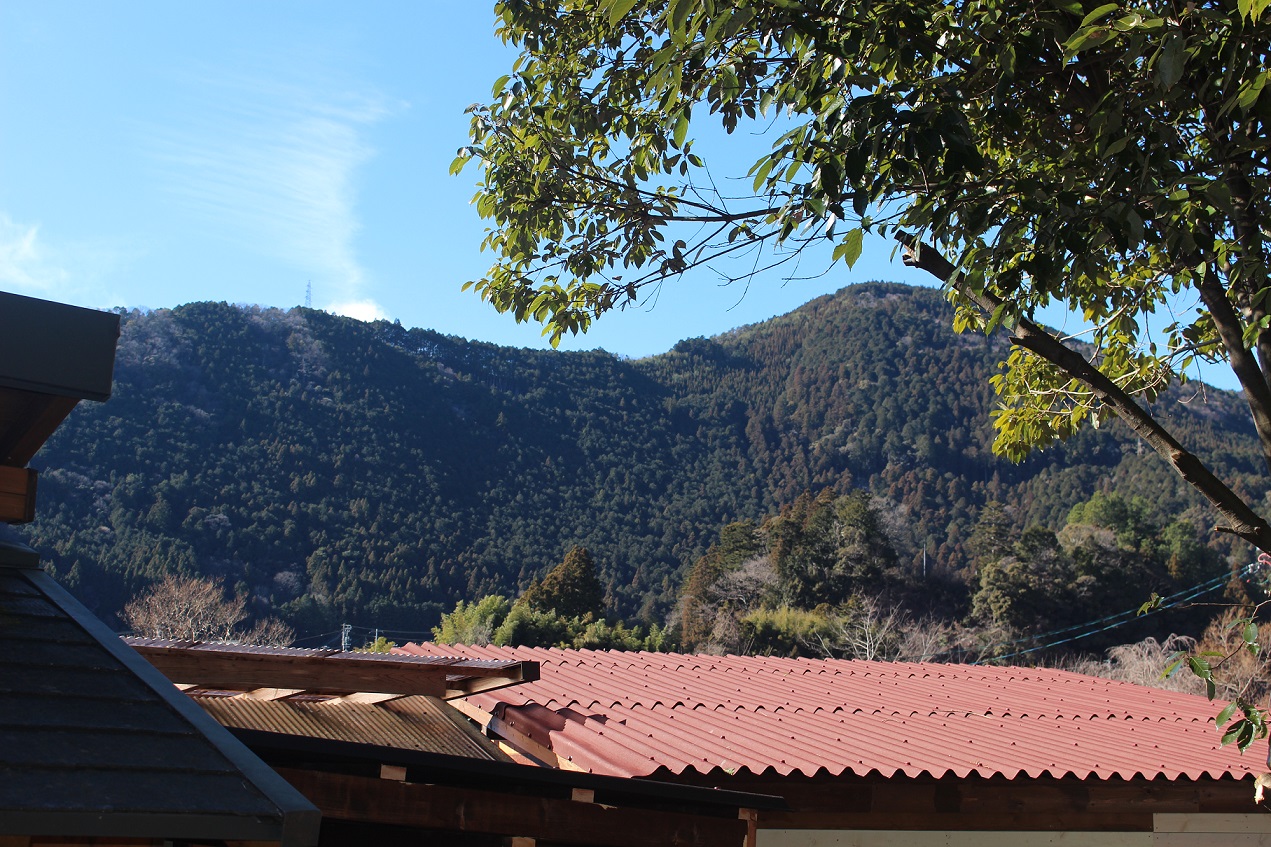 greenvillage